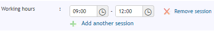 Working hours section showing morning session entry