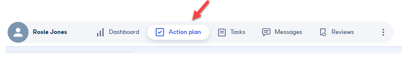 Action plan showing a list of activities